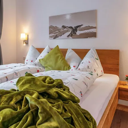 Apartamento Anna Mayrhofen
